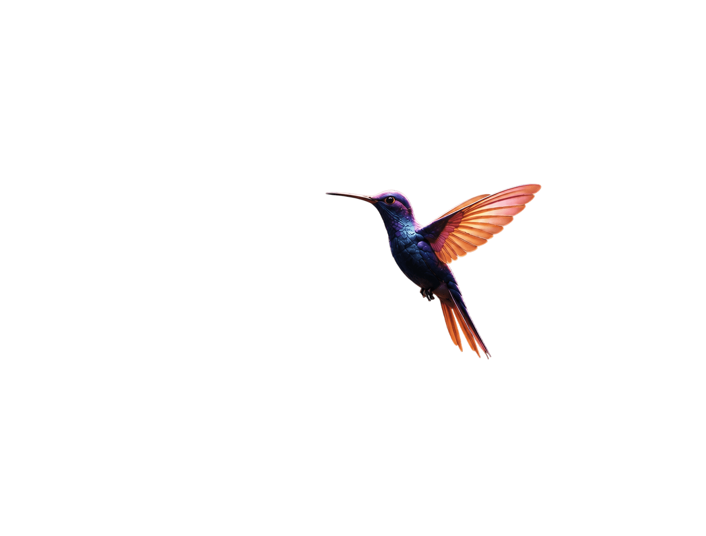 Aimver Hummingbird